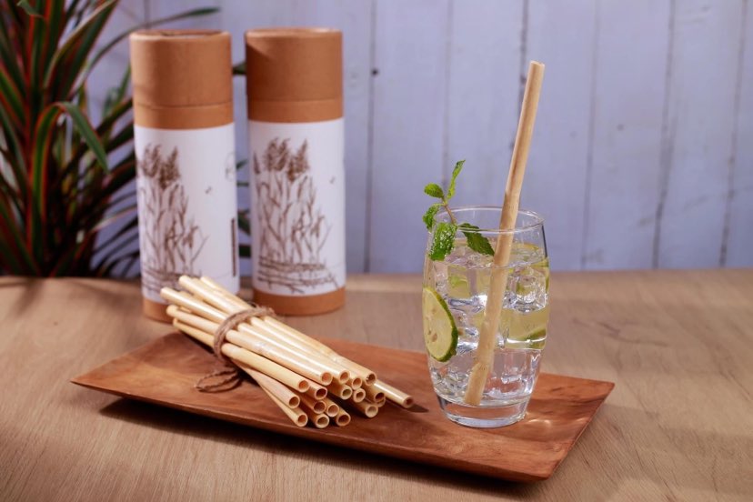 Pure Reed Drinking Straws